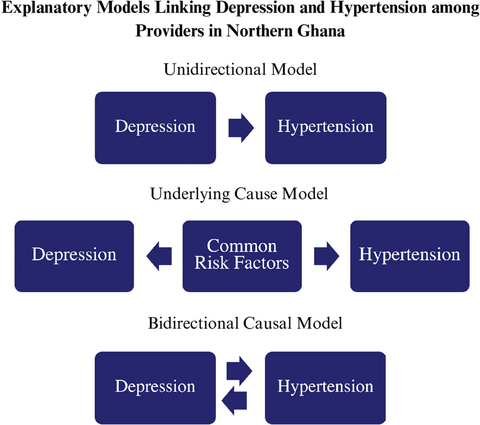 graphical abstract for Perceptions of healthcare workers on linkage between depression and hypertension in northern Ghana: a qualitative study - open in full screen