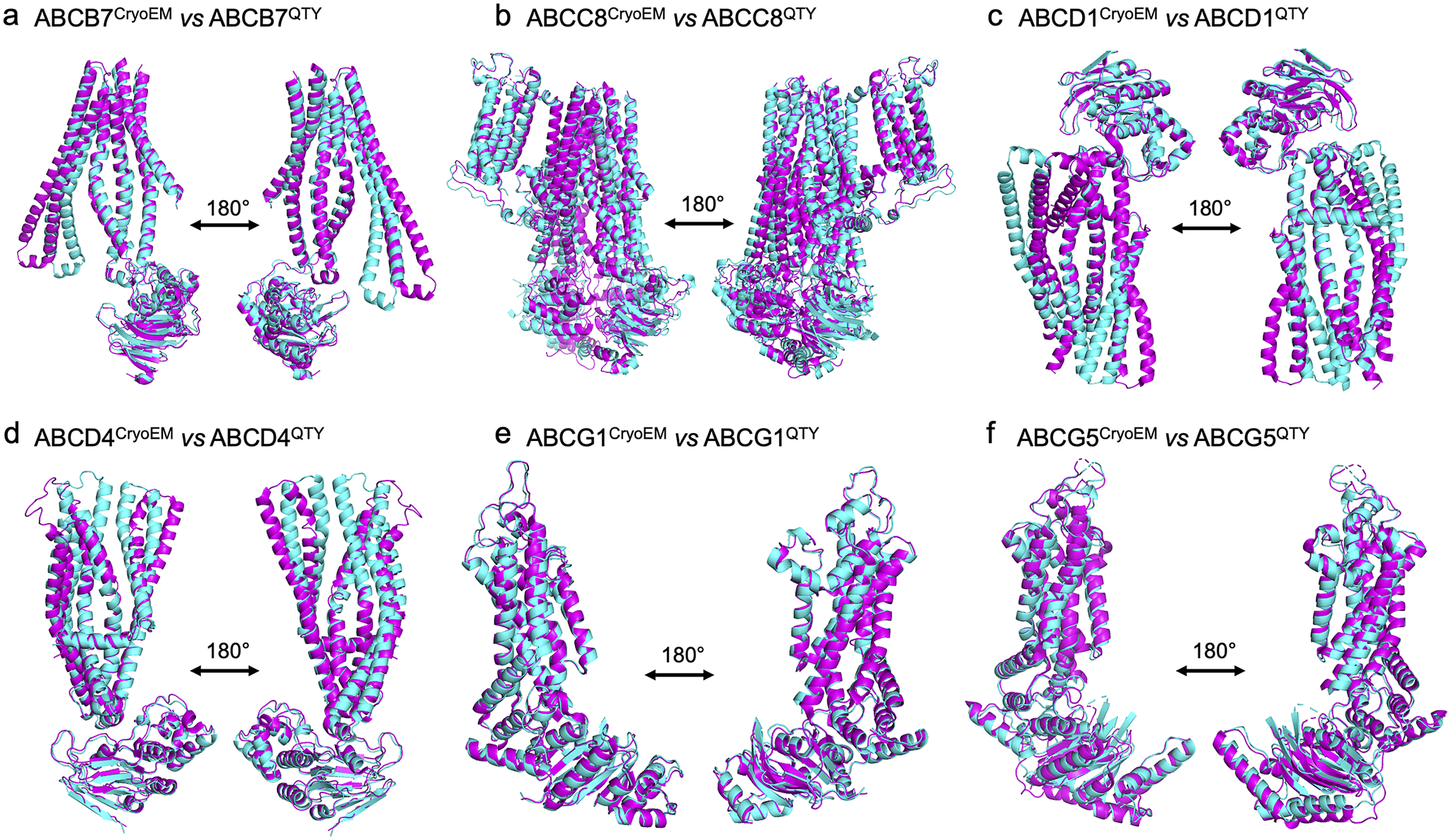 graphical abstract for Structural bioinformatics studies of six human ABC transporters and their AlphaFold2-predicted water-soluble QTY variants - open in full screen