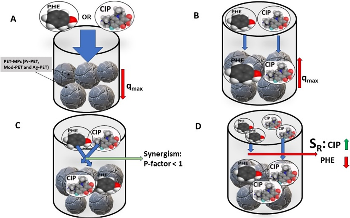 graphical abstract for Modeling of multicomponent adsorption equilibria of phenol and ciprofloxacin on pristine, acid-modified and thermo-oxidatively-aged polyethylene terephthalate microplastics - open in full screen