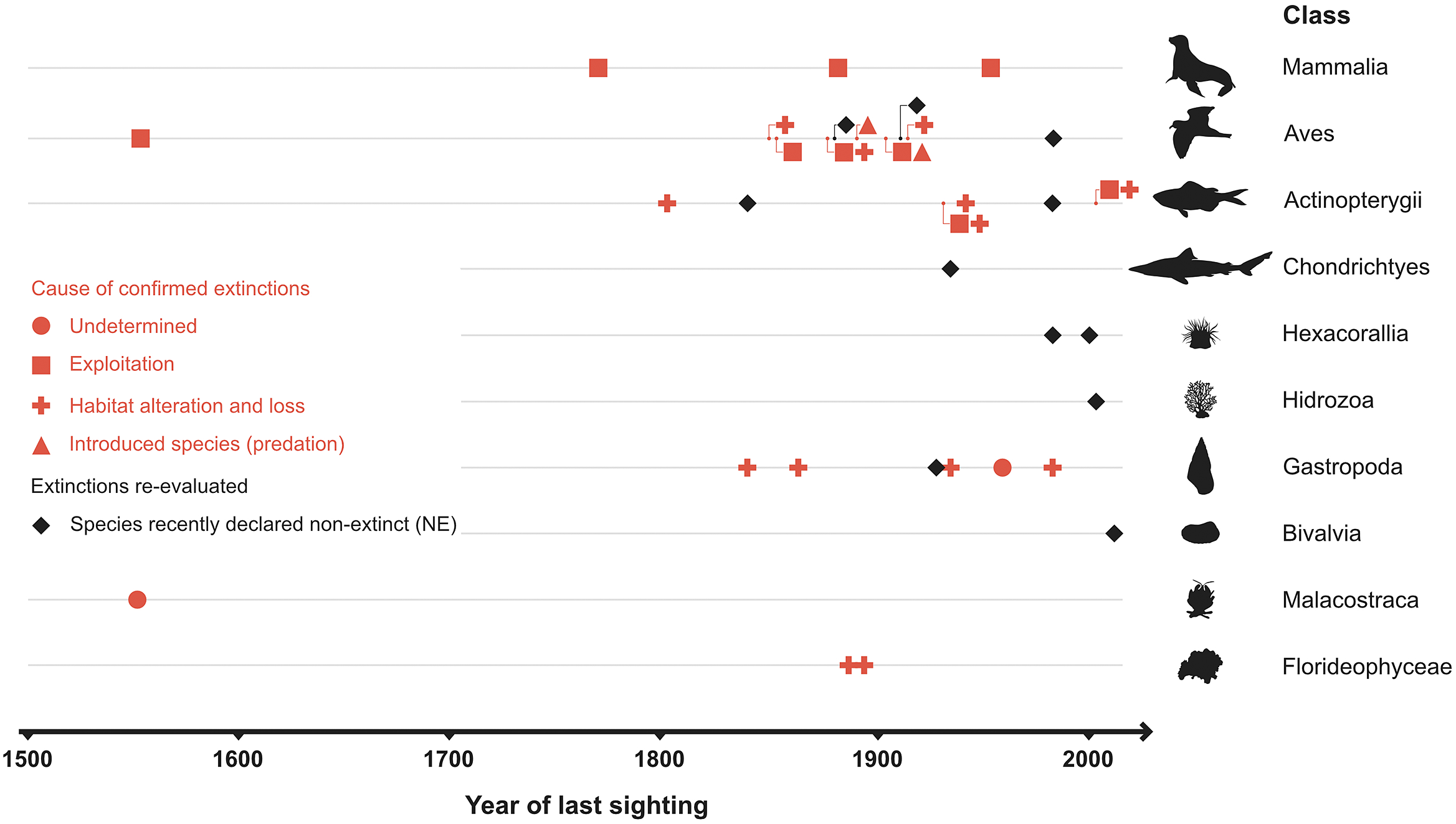 graphical abstract for A review of recent and future marine extinctions - open in full screen