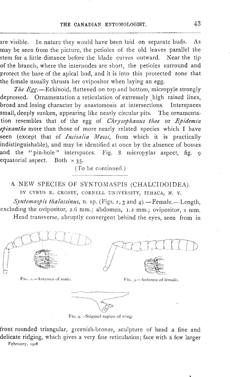 Image of the first page of this content. For PDF version, please use the ‘Save PDF’ preceeding this image.'