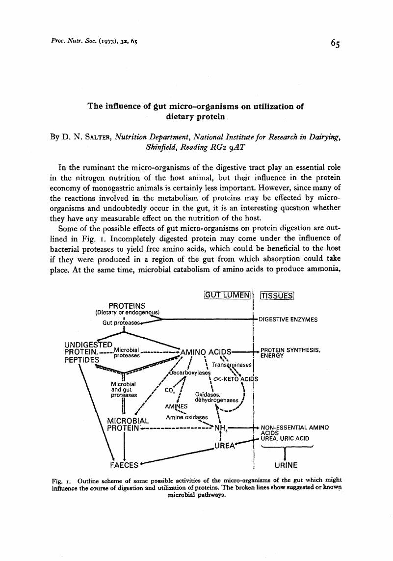 Image of the first page of this content. For PDF version, please use the ‘Save PDF’ preceeding this image.'