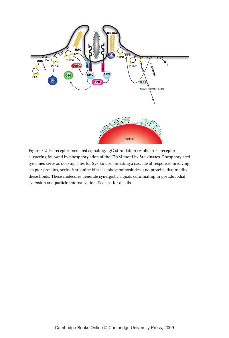 Image of the first page of this content. For PDF version, please use the ‘Save PDF’ preceeding this image.'