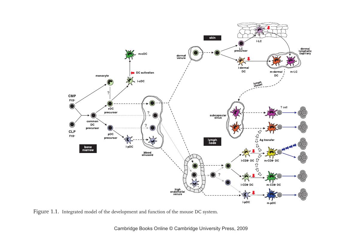 Image of the first page of this content. For PDF version, please use the ‘Save PDF’ preceeding this image.'