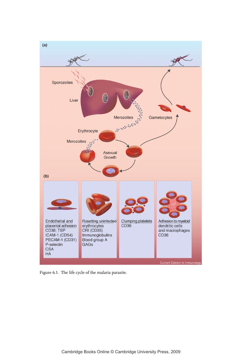 Image of the first page of this content. For PDF version, please use the ‘Save PDF’ preceeding this image.'