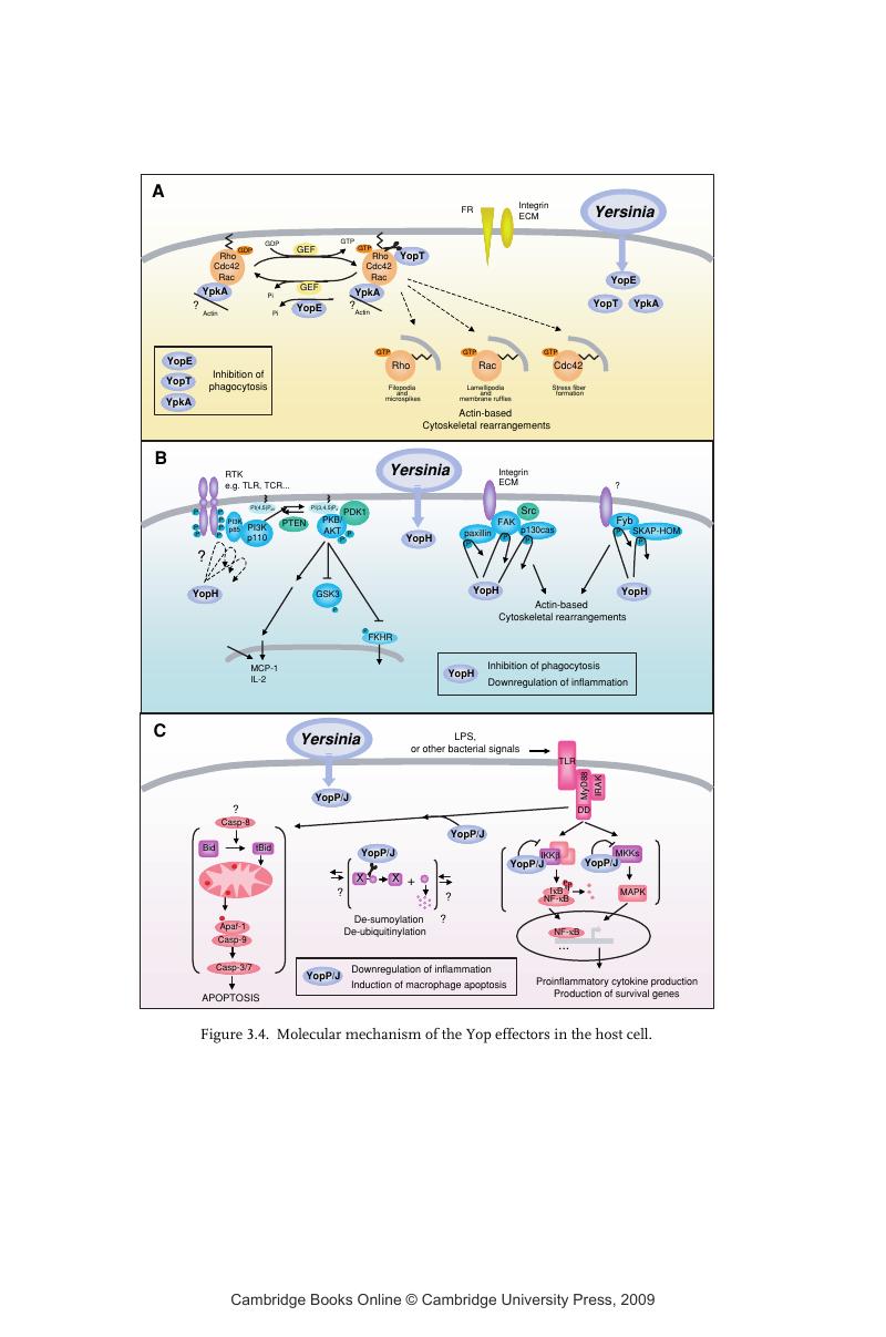 Image of the first page of this content. For PDF version, please use the ‘Save PDF’ preceeding this image.'