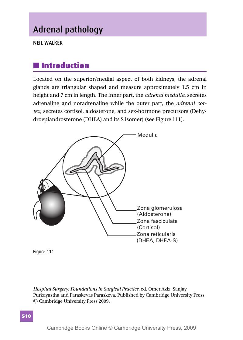 Image of the first page of this content. For PDF version, please use the ‘Save PDF’ preceeding this image.'