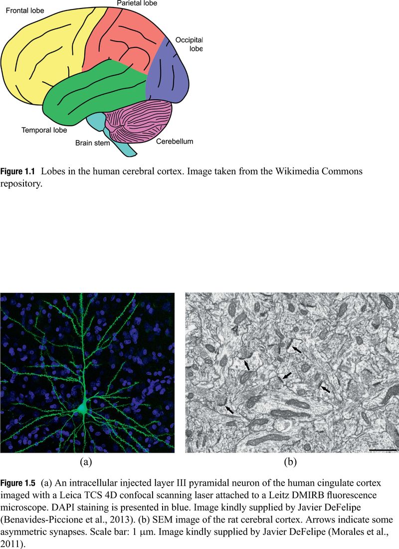 Image of the first page of this content. For PDF version, please use the ‘Save PDF’ preceeding this image.'