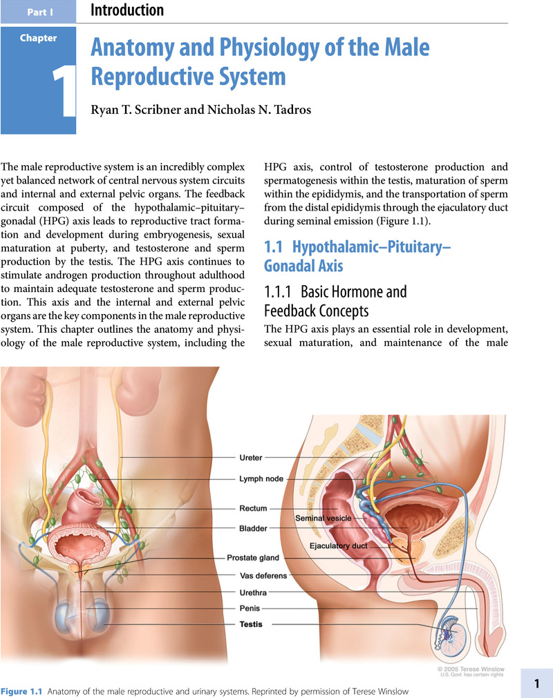 Image of the first page of this content. For PDF version, please use the ‘Save PDF’ preceeding this image.'