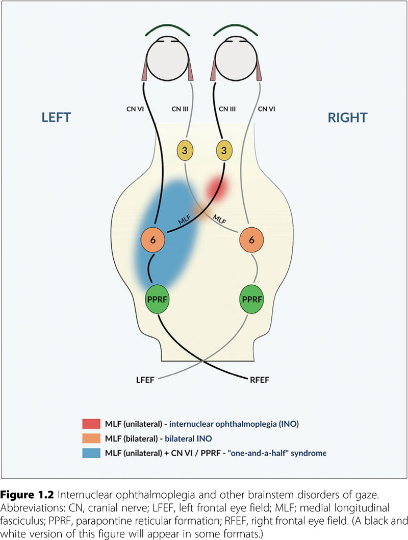 Image of the first page of this content. For PDF version, please use the ‘Save PDF’ preceeding this image.'