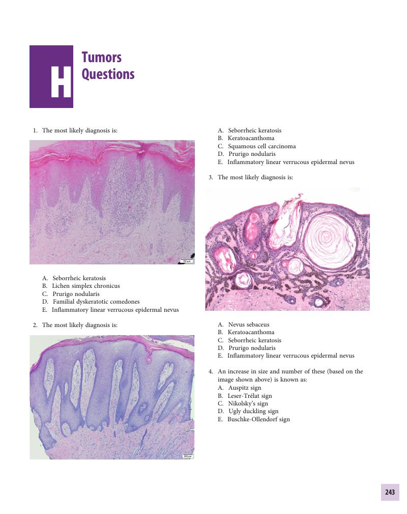 Image of the first page of this content. For PDF version, please use the ‘Save PDF’ preceeding this image.'