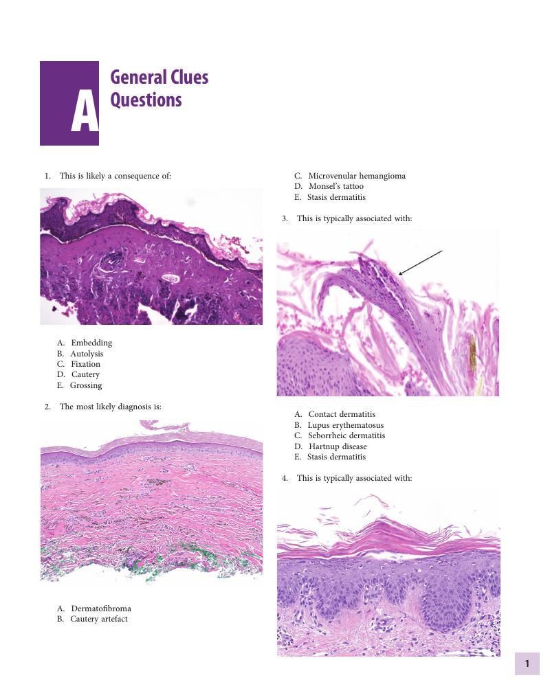 Image of the first page of this content. For PDF version, please use the ‘Save PDF’ preceeding this image.'