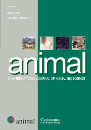 animal Volume 1 - Issue 3 -