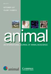 animal Volume 1 - Issue 8 -