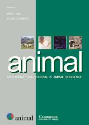 animal Volume 2 - Issue 3 -