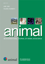 animal Volume 2 - Issue 6 -