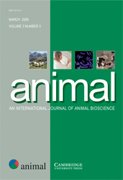 animal Volume 3 - Issue 3 -