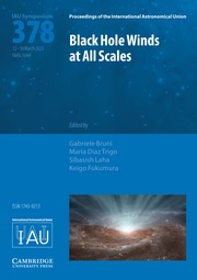 Proceedings of the International Astronomical Union Volume 19 - SymposiumS378 -  Black Hole Winds at All Scales