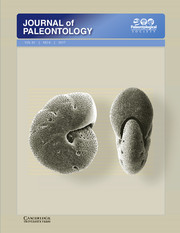 Journal of Paleontology Volume 91 - Issue 6 -