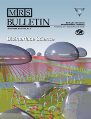 MRS Bulletin Volume 30 - Issue 3 -  Biointerface Science