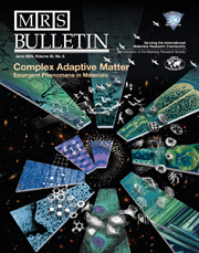 MRS Bulletin Volume 30 - Issue 6 -  Complex Adaptive Matter: Emergent Phenomena in Materials