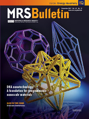 MRS Bulletin Volume 42 - Issue 12 -  DNA Nanotechnology: A foundation for Programmable Nanoscale Materials