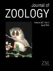 Journal of Zoology Volume 262 - Issue 4 -