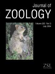 Journal of Zoology Volume 263 - Issue 3 -