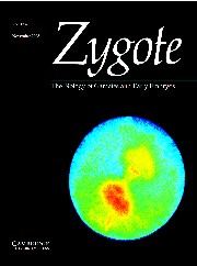 Zygote Volume 13 - Issue 4 -